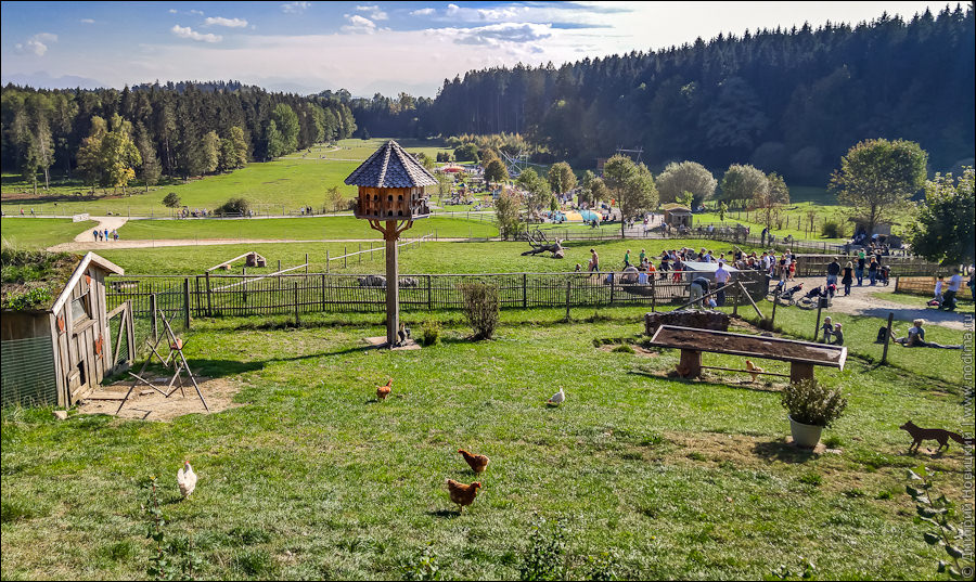 Горный зоопарк Блиндхам (Bergtierpark Blindham)