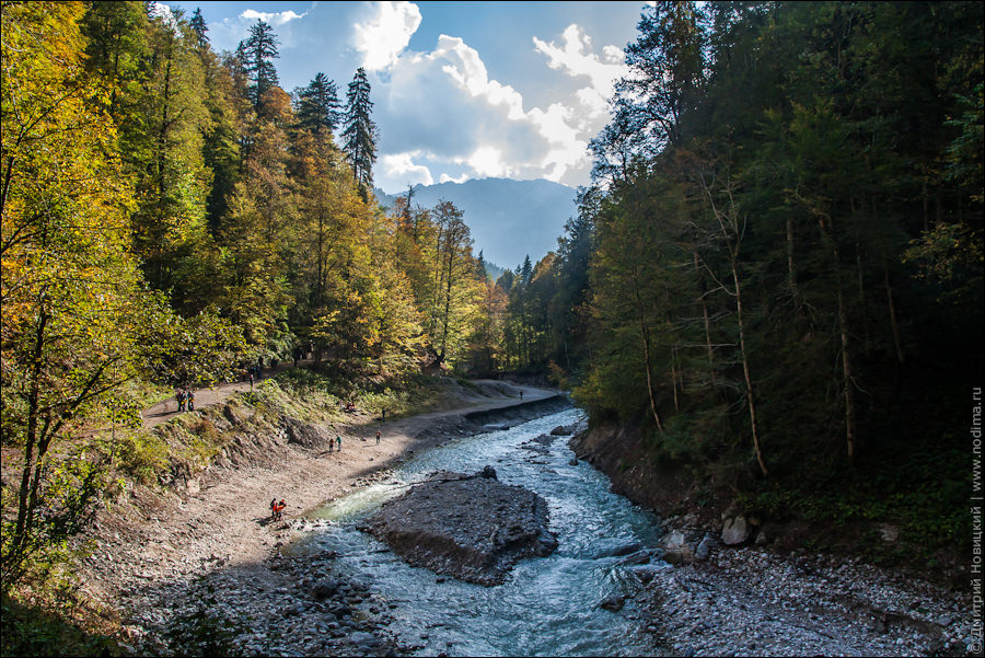 Река, лес и горы