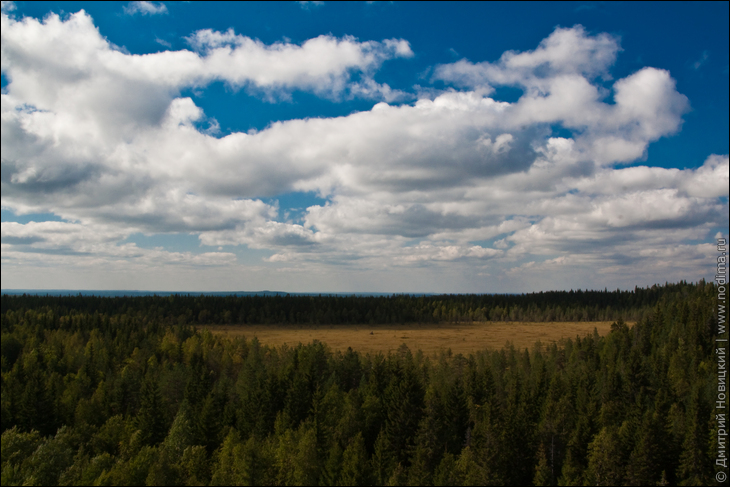 Вид с трубы