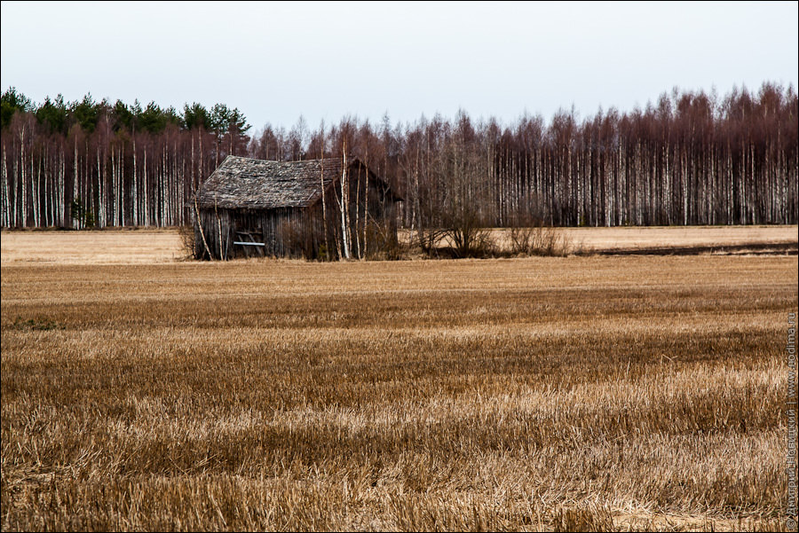 Сарай