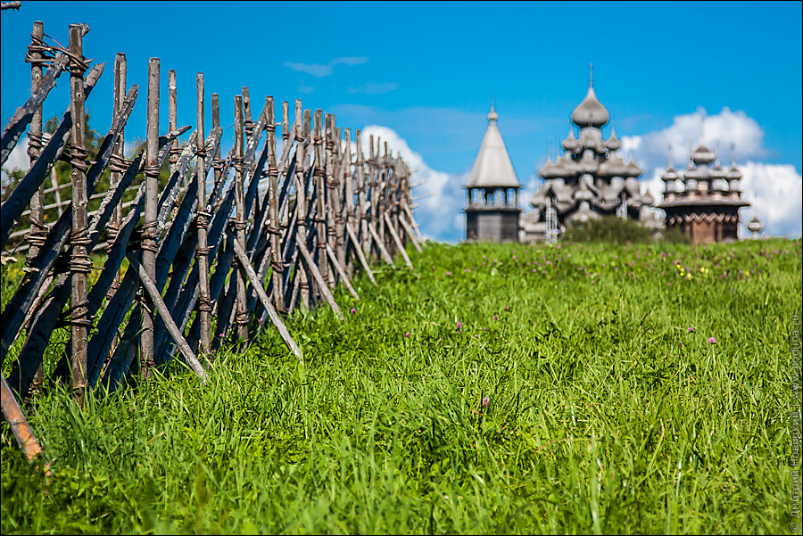 Изгородь