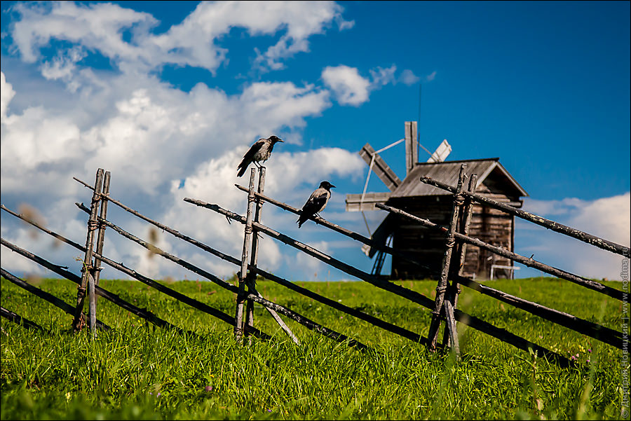 Мельница и вороны