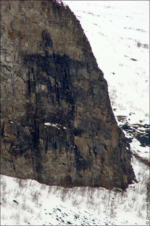 Куйво