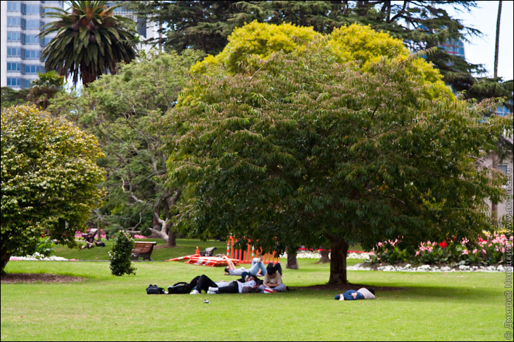 Albert Park