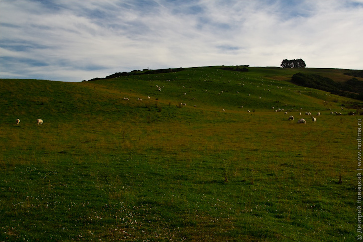 Зеленые холмы, как в Windows XP