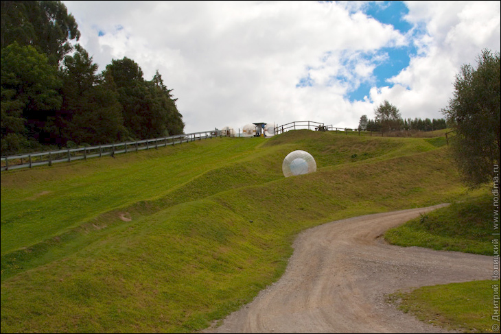 Zorb в Rotorua