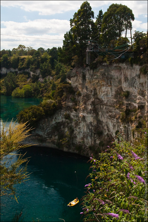 Taupo Bungy