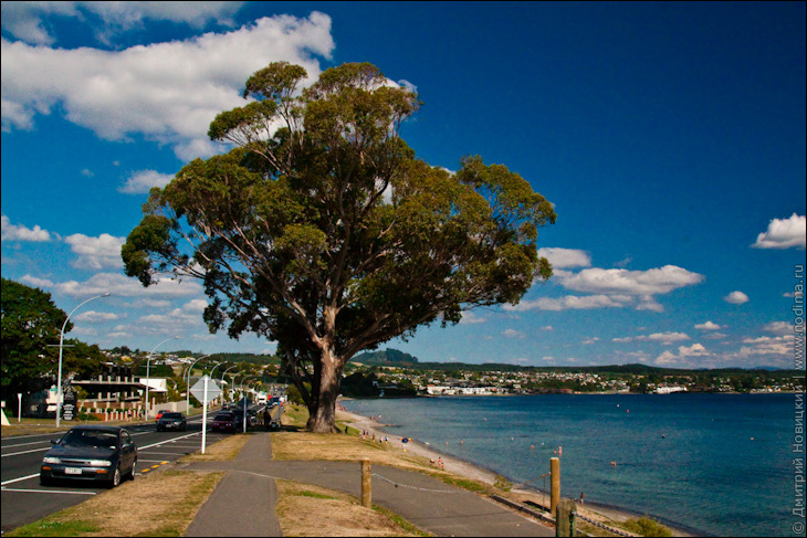 Озеро Таупо (Taupo Lake)