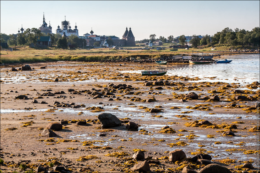 5. Отлив на Белом море